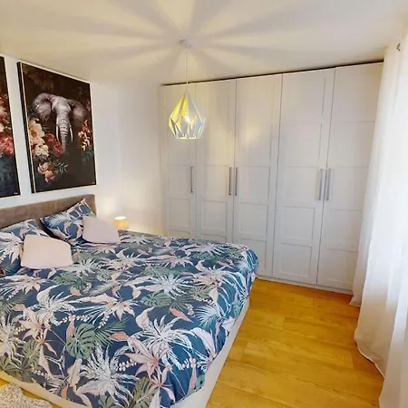 Modern Jungle - Colmar