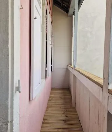 Modern Jungle - Apartamento