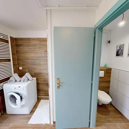 公寓 Modern Jungle - 科尔马